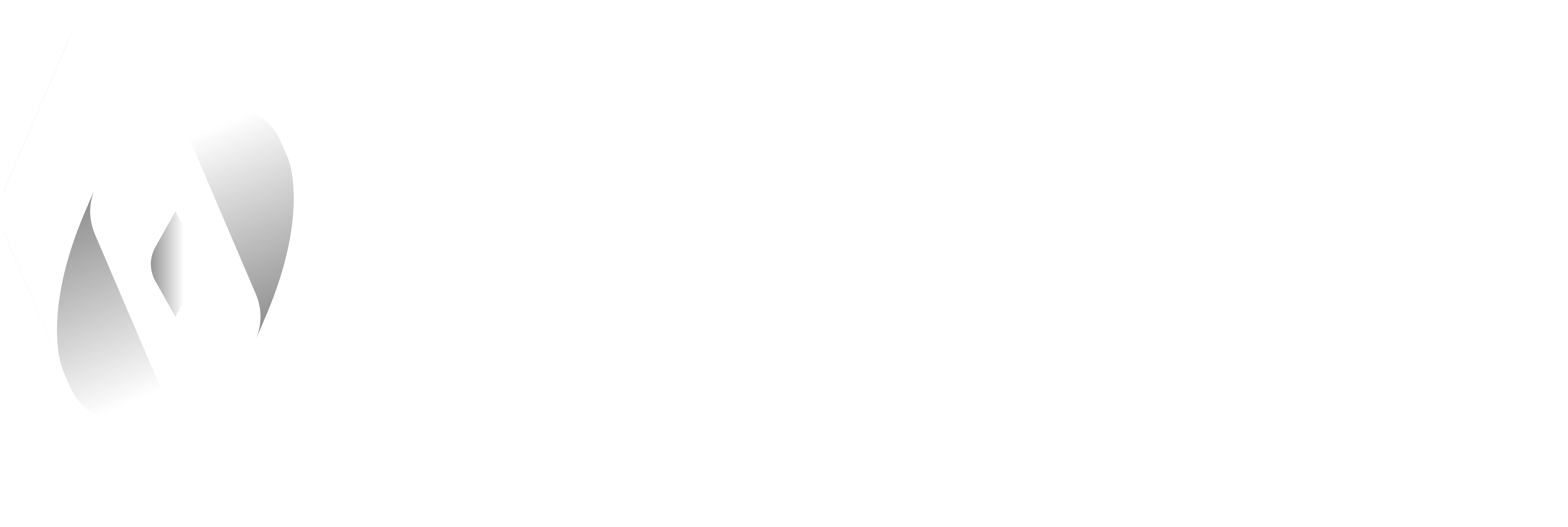 logo-ssi
